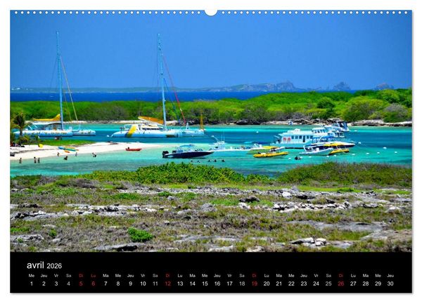 Produktbild: Paysages de Guadeloupe (Calendrier mural 2026 DIN A2 vertical) calendrier de bureau