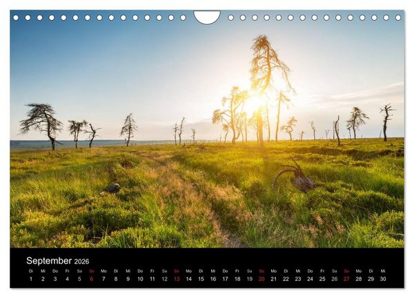 Produktbild: HOHES VENN - Einblicke in ein Hochmoor (Wandkalender 2026 DIN A4 quer), CALVENDO Monatskalender