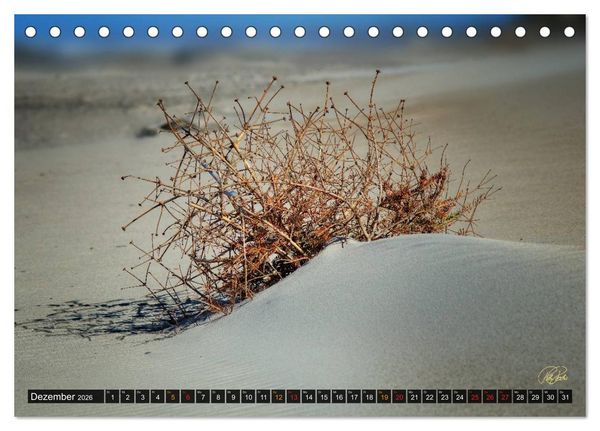 Produktbild: Nordsee-D&uuml;nen (Tischkalender 2026 DIN A5 quer), CALVENDO Monatskalender