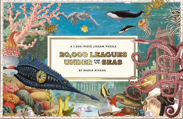 Produktbild: 20,000 Leagues Under the Seas