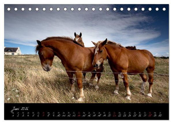 Produktbild: Frankreich Bretagne (Tischkalender 2026 DIN A5 quer), CALVENDO Monatskalender
