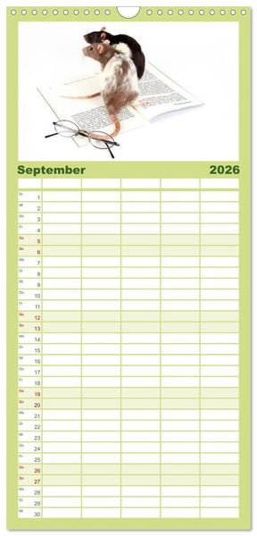 Produktbild: Familienplaner 2026 - S&uuml;&szlig;e M&auml;use und Coole Ratten mit 5 Spalten (Wandkalender, 21 x 45 cm) CALVENDO