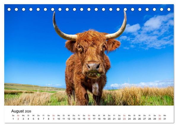 Produktbild: North Coast 500 - Schottlands Traumstra&szlig;e (Tischkalender 2026 DIN A5 quer), CALVENDO Monatskalender