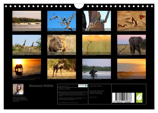 Produktbild: Botswana Wildlife (Wandkalender 2026 DIN A4 quer), CALVENDO Monatskalender