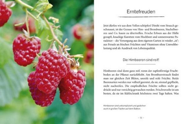 Produktbild: Das gro&szlig;e kleine Buch: Mein Garten im Sommer