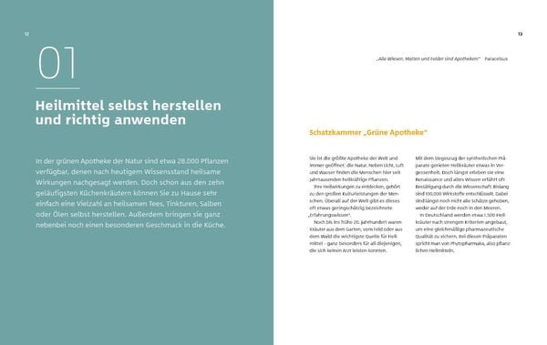 Produktbild: 10 Kr&auml;uter gegen 100 Krankheiten