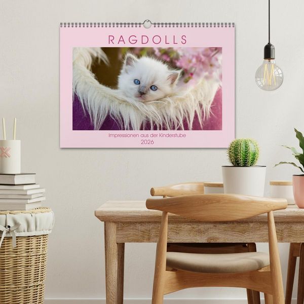 Produktbild: RAGDOLLS Impressionen aus der Kinderstube (Wandkalender 2026 DIN A3 quer), CALVENDO Monatskalender