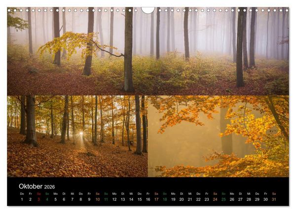 Produktbild: Atemberaubende und Emotionale Landschaften in der Pfalz (Wandkalender 2026 DIN A3 quer), CALVENDO Monatskalender