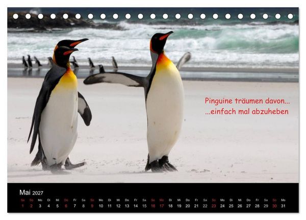 Produktbild: Wovon Pinguine tr&auml;umen (Tischkalender 2027 DIN A5 quer), CALVENDO Monatskalender