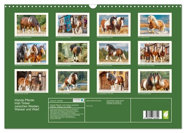 Produktbild: Irlands Pferde. Irish Tinker zwischen Weiden, Wasser und Wald (Wandkalender 2027 DIN A3 quer), CALVENDO Monatskalender