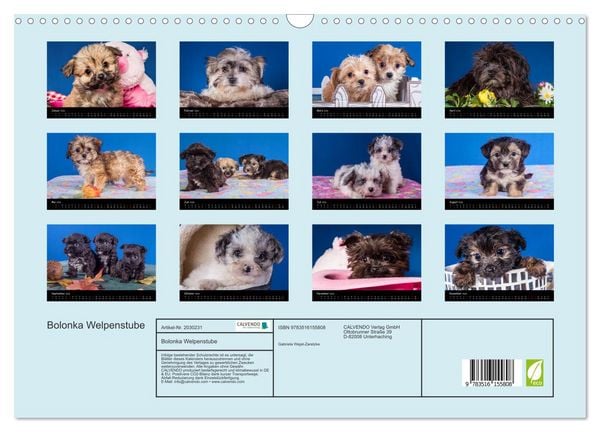 Produktbild: Bolonka Welpenstube (Wandkalender 2026 DIN A3 quer), CALVENDO Monatskalender