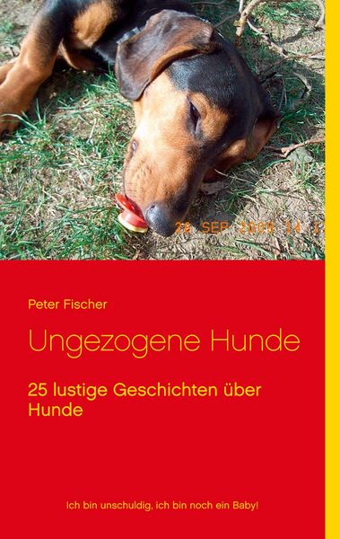 Produktbild: Ungezogene Hunde