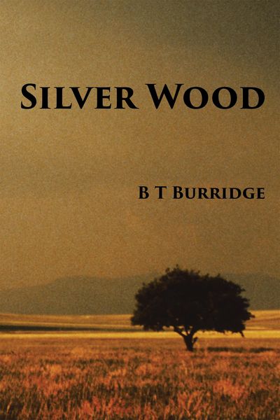 Produktbild: Silver Wood