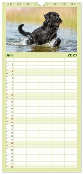 Produktbild: Familienplaner 2027 - Mit dem Riesenschnauzer durch das Jahr mit 5 Spalten (Wandkalender, 21 x 45 cm) CALVENDO