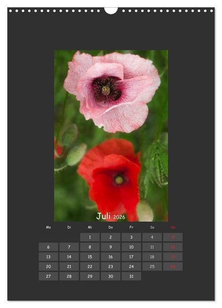 Produktbild: Mohn (Wandkalender 2026 DIN A3 hoch), CALVENDO Monatskalender