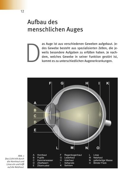 Produktbild: Makuladegeneration - Diabetische Retinopathie