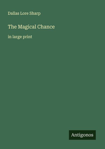 Produktbild: The Magical Chance