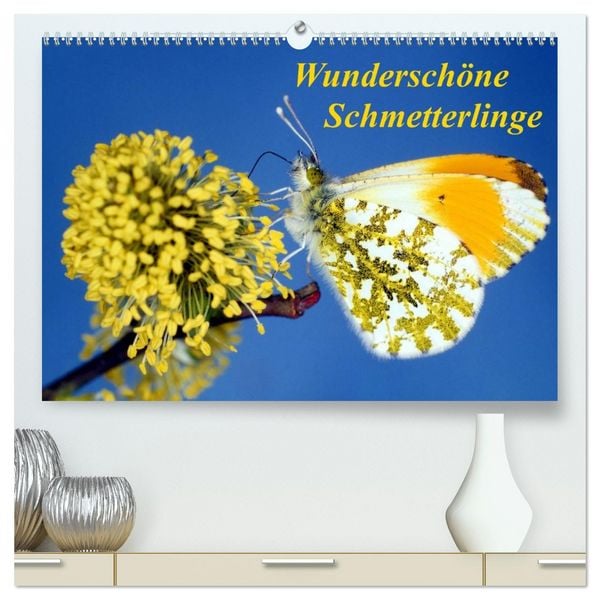 Produktbild: Wundersch&ouml;ne Schmetterlinge (hochwertiger Premium Wandkalender 2026 DIN A2 quer), Kunstdruck in Hochglanz