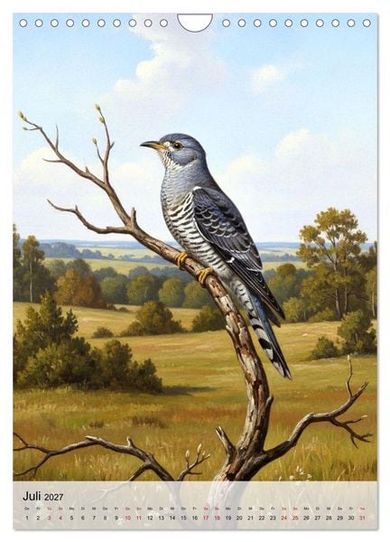 Produktbild: V&ouml;gel, die man selten sieht (Wandkalender 2027 DIN A4 hoch), CALVENDO Monatskalender