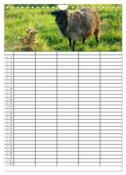 Produktbild: Bauernhoftiere Familienplaner (Wandkalender 2026 DIN A4 hoch), CALVENDO Monatskalender