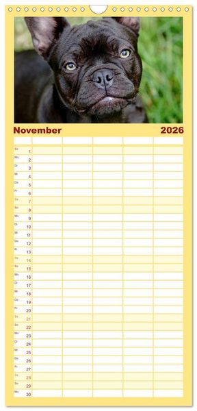 Produktbild: Familienplaner 2026 - Franz&ouml;sische Bulldoggen - Schutzengel auf 4 Pfoten mit 5 Spalten (Wandkalender, 21 x 45 cm) CALVENDO