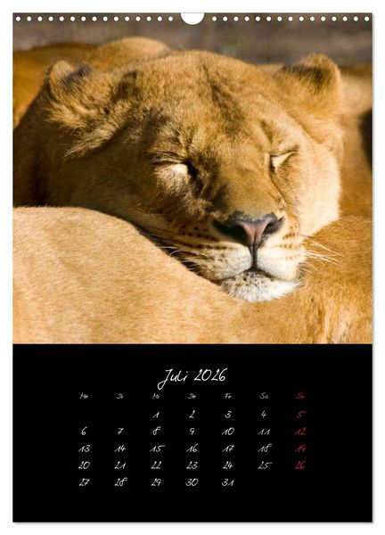 Produktbild: Tiere (Wandkalender 2026 DIN A3 hoch), CALVENDO Monatskalender