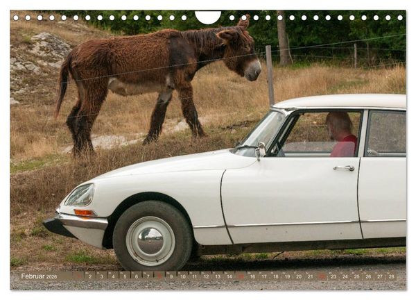 Produktbild: Citro&euml;n DS G&ouml;ttin im Mittelrheintal (Wandkalender 2026 DIN A4 quer), CALVENDO Monatskalender