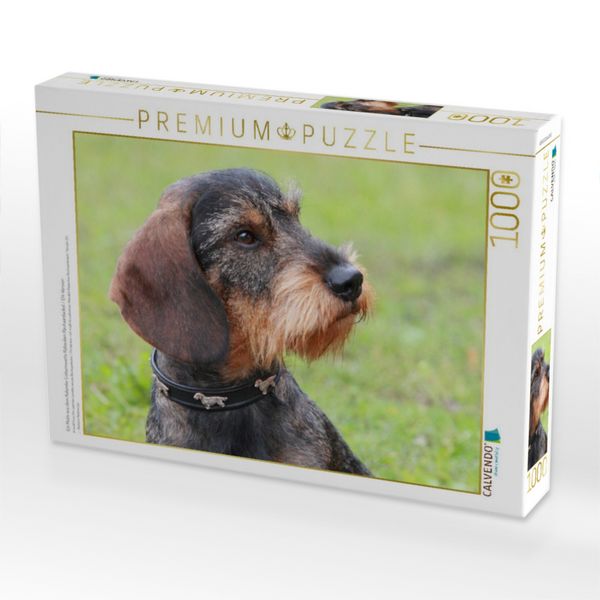 Produktbild: CALVENDO Puzzle Ein Motiv aus dem Kalender Liebenswerte Rabauken Rauhaardackel / CH-Version | 1000 Teile Lege-Gr&ouml;&szlig;e 64x48cm Foto-Puzzle f&uuml;r gl&uuml;ckliche Stunden