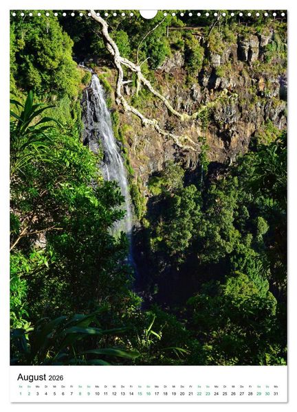 Produktbild: Regenwald - Australien (Wandkalender 2026 DIN A3 hoch), CALVENDO Monatskalender
