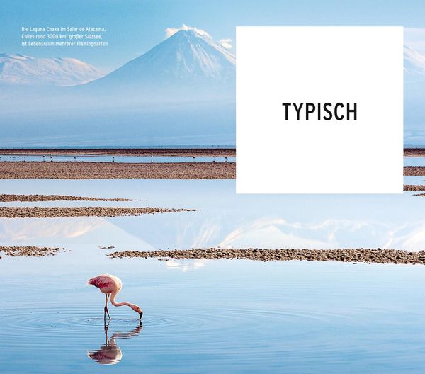 Produktbild: POLYGLOTT on tour Reisef&uuml;hrer Chile