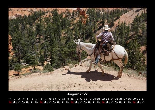 Produktbild: Die Welt der Pferde 2027 Fotokalender DIN A3