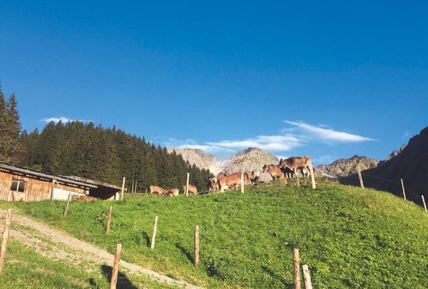 Sehnsuchtsküche Alm