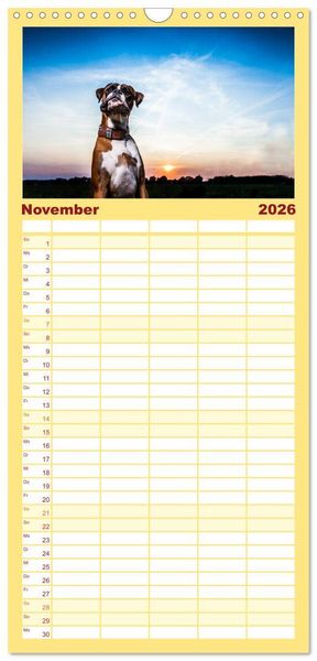 Produktbild: Familienplaner 2026 - Deutscher Boxer mit 5 Spalten (Wandkalender, 21 x 45 cm) CALVENDO