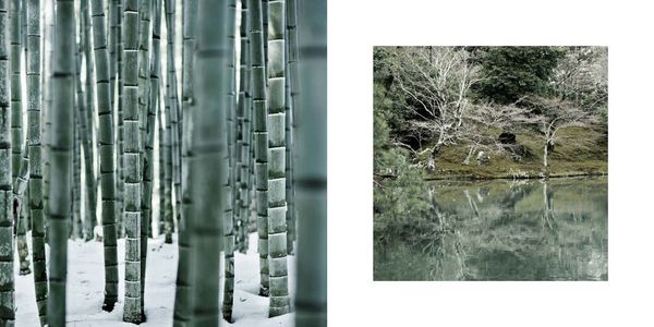 Produktbild: The Magic of Japanese Zen Gardens