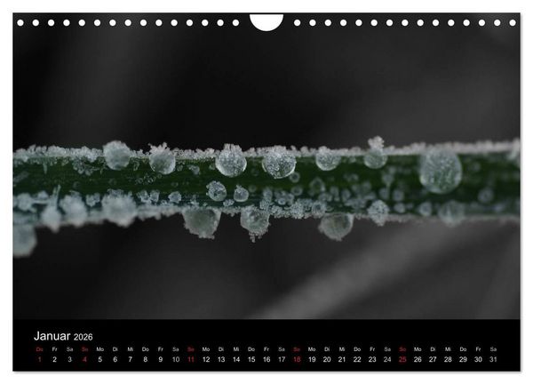 Produktbild: schwarz/wei&szlig; trifft farbe (Wandkalender 2026 DIN A4 quer), CALVENDO Monatskalender
