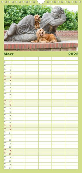 Produktbild: Familienplaner English Cocker Spaniel - Fr&ouml;hliche Gesellen (Wandkalender 2022 , 21 cm x 45 cm, hoch)