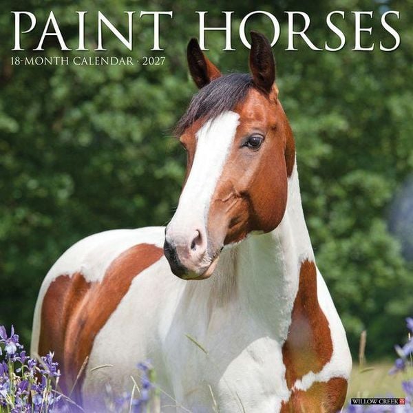 Produktbild: Paint Horses 2027 12 X 12 Wall Calendar