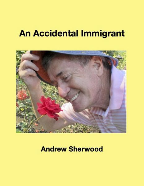 Produktbild: An Accidental Immigrant