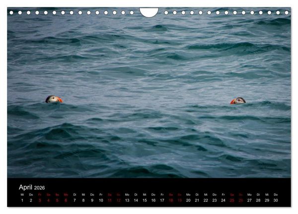 Produktbild: Island - Unber&uuml;hrte Landschaften (Wandkalender 2026 DIN A4 quer), CALVENDO Monatskalender