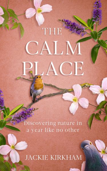 Produktbild: The Calm Place