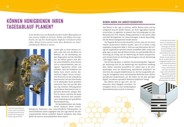 Produktbild: Auch Bienen haben Schwei&szlig;f&uuml;&szlig;e