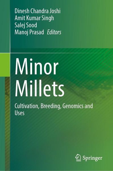Produktbild: Minor Millets
