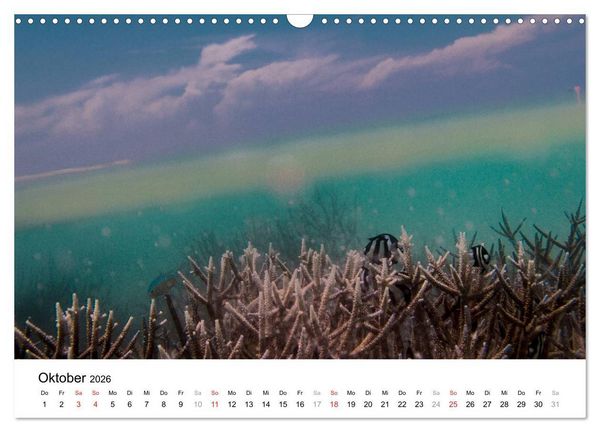Produktbild: Unterwasserwelt der Malediven I (Wandkalender 2026 DIN A3 quer), CALVENDO Monatskalender