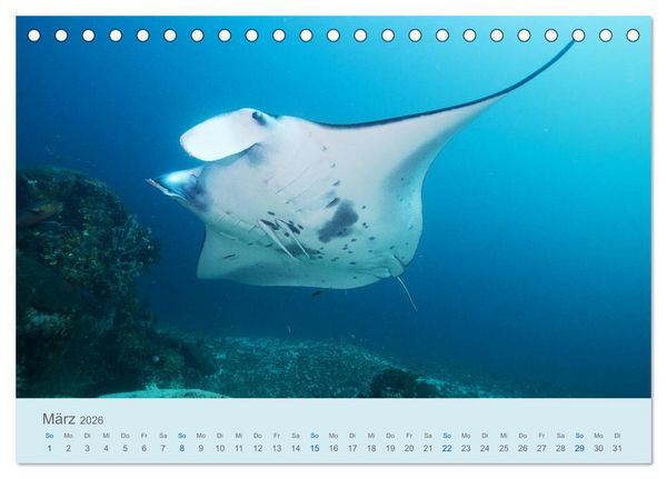 Produktbild: Abenteuer Unterwasser (Tischkalender 2026 DIN A5 quer), CALVENDO Monatskalender