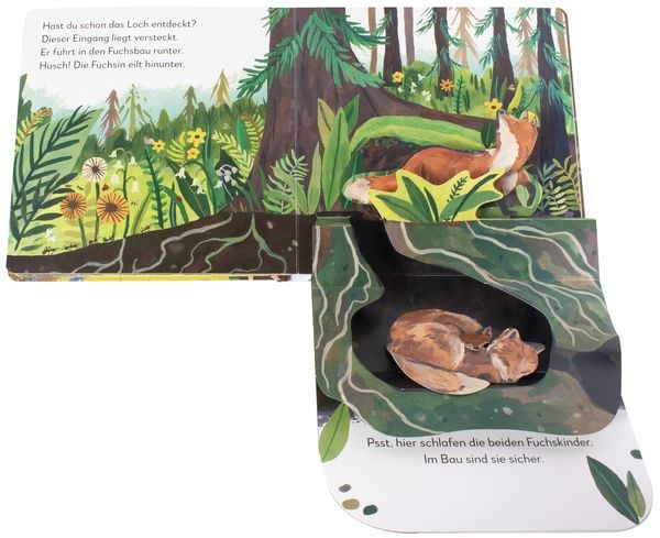 Produktbild: Mein Pop-up-Buch zum Staunen. Wer lebt im Wald?