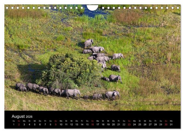 Produktbild: Abenteuer Afrika (Wandkalender 2026 DIN A4 quer), CALVENDO Monatskalender