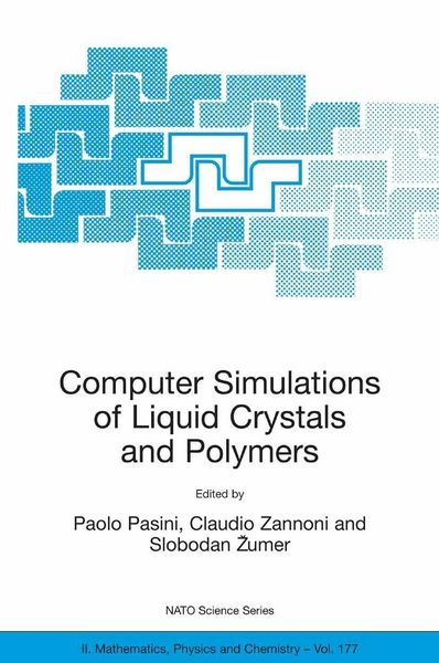 Produktbild: Computer Simulations of Liquid Crystals and Polymers