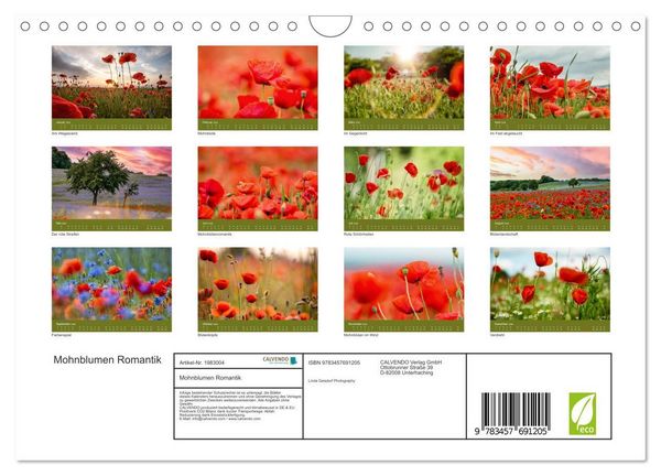 Produktbild: Mohnblumen Romantik (Wandkalender 2026 DIN A4 quer), CALVENDO Monatskalender