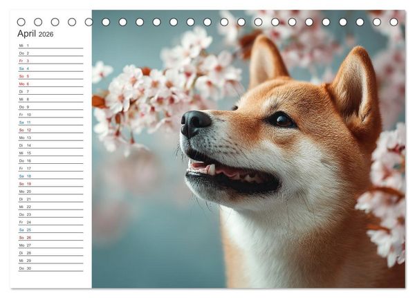 Produktbild: Hundegl&uuml;ck (Tischkalender 2026 DIN A5 quer), CALVENDO Monatskalender