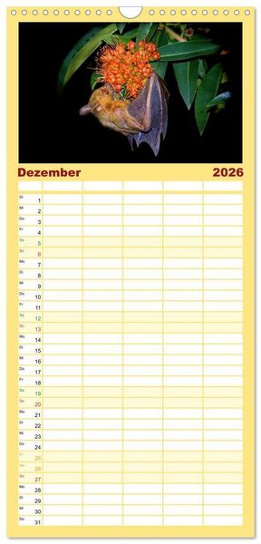 Produktbild: Familienplaner 2026 - Flughunde - Meister der Nacht mit 5 Spalten (Wandkalender, 21 x 45 cm) CALVENDO